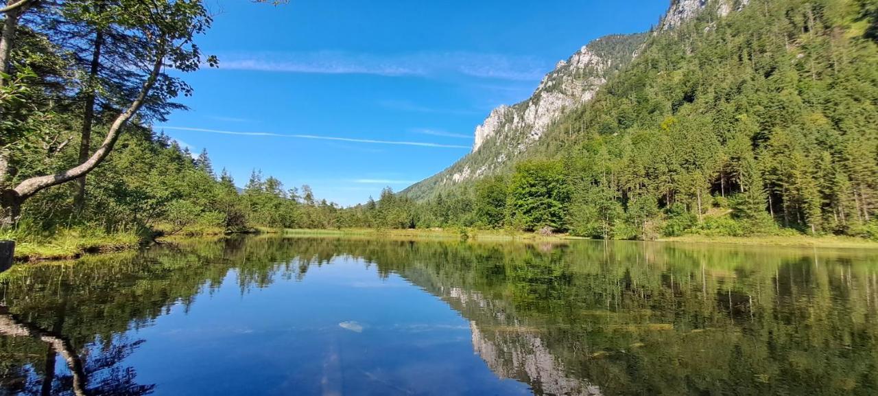 Apartmán Laerche 2 - Chiemgaukarte Inklusive- Inzell Exteriér fotografie
